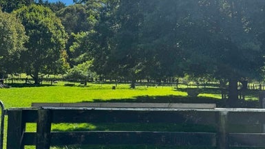 1223 Pohangina Road, Pohangina, Ashhurst - Carousel 1