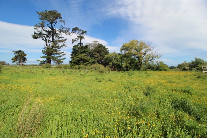 0 Woodlands Road, Woodville, Woodville - Carousel 2