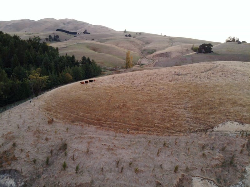 490 Bluff Rangitumau Road, Rangitumau, Masterton - Carousel 12