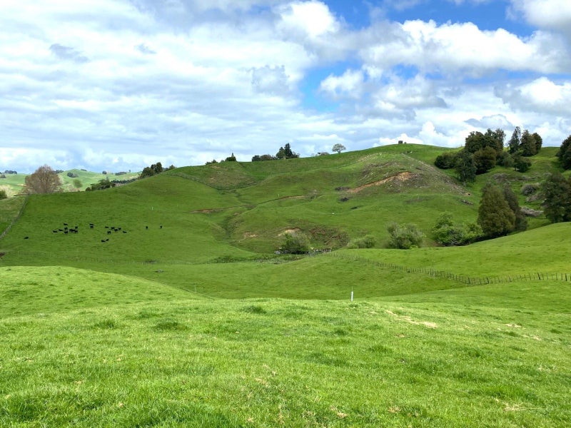 23 Mairoa Road, Piopio, Piopio - Carousel 2