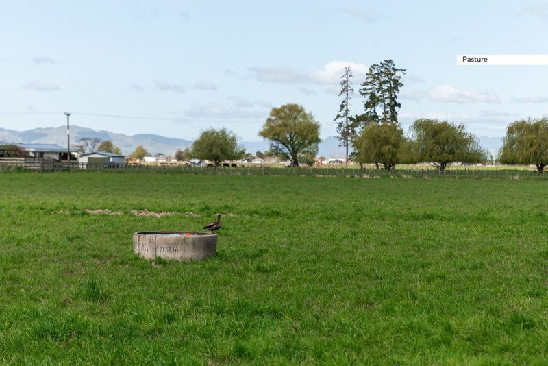 119 Oparia Road, Thames - Carousel 27