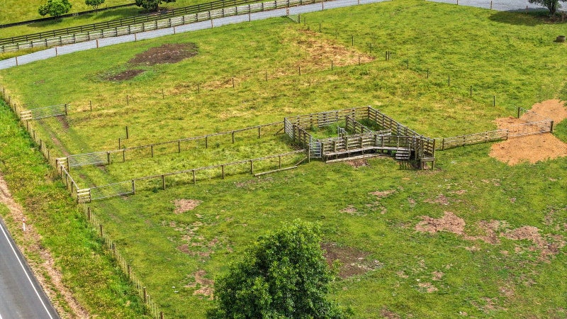 880 Kopuku Road, Maramarua Forest, Te Kauwhata - Carousel 2