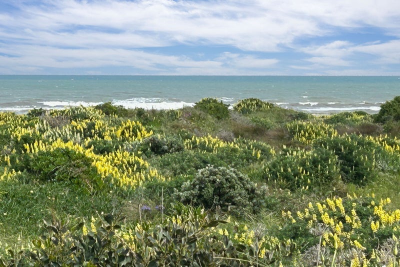 7 Kent Avenue, Waitārere Beach, Levin - Carousel 1