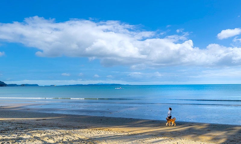 236 Hibiscus Coast Highway, Orewa, Orewa - Carousel 2