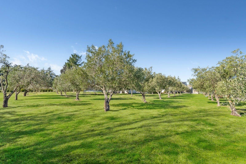 0 White Rock Road, White Rock, Martinborough - Carousel 31
