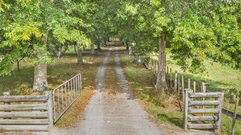 178 Potts Road, Koputaroa, Levin - Carousel 25