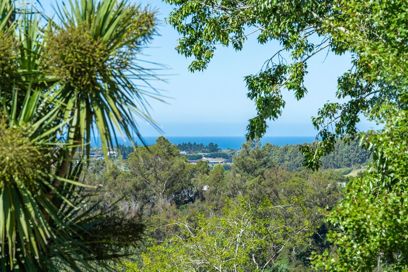 155 Main Road, Fairfield, Dunedin - Carousel 34