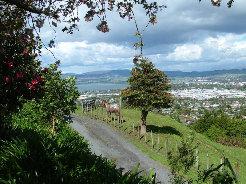 72 Mountain Road, Western Heights, Rotorua - Carousel 29