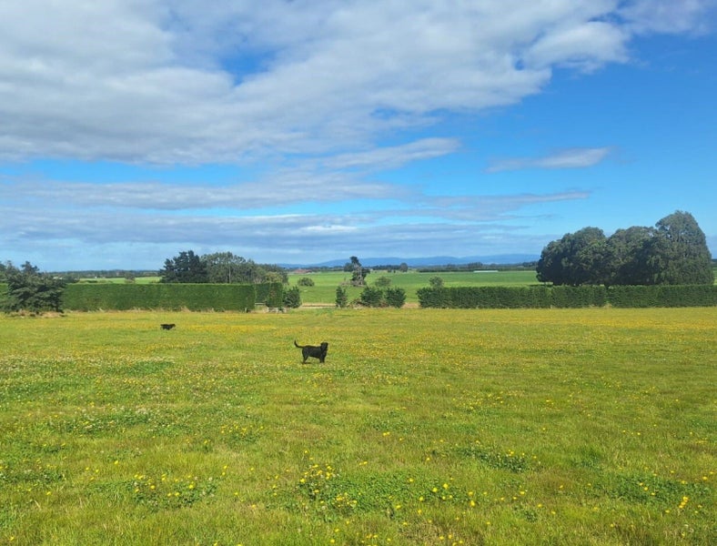 60 Forest Hill Cemetery Road, Lochiel, Winton - Carousel 12