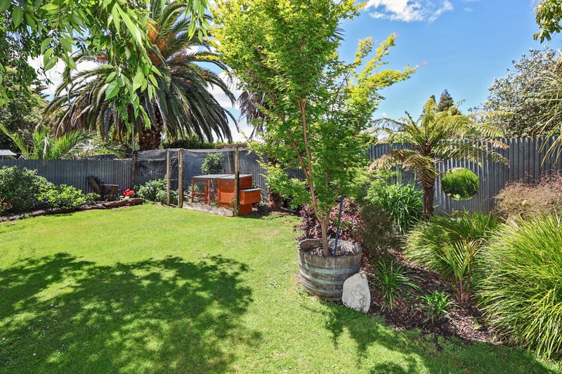 803 Tamatea Street, Mahora, Hastings - Carousel 16