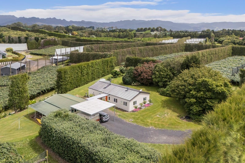 81 Lockington Road, Aongatete, Katikati - Carousel 1