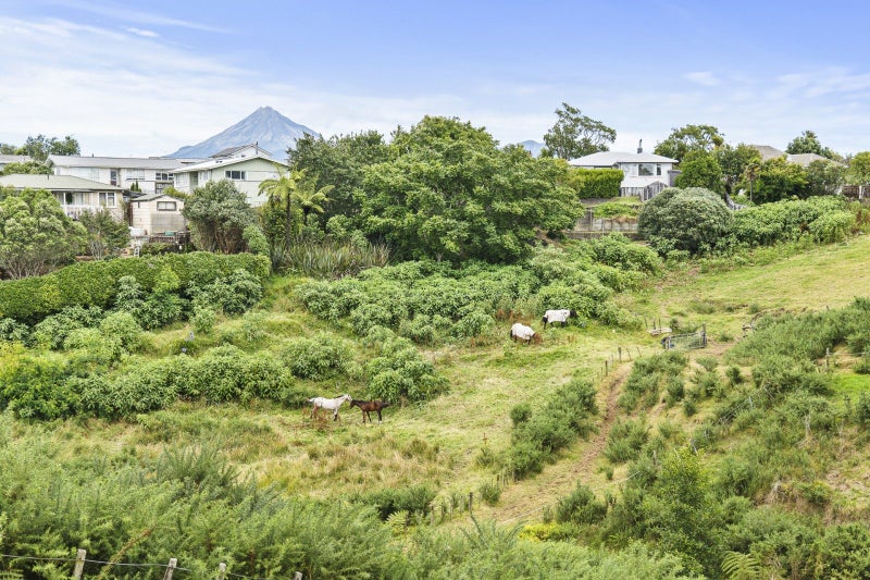 8 Kelvin Place, Westown, New Plymouth - Carousel 19
