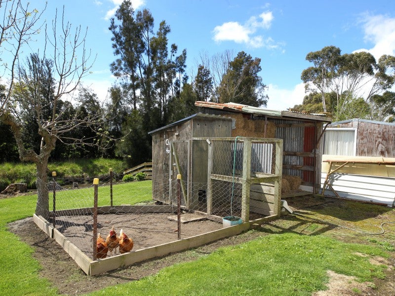 77 School Road, Clive, Clive - Carousel 26