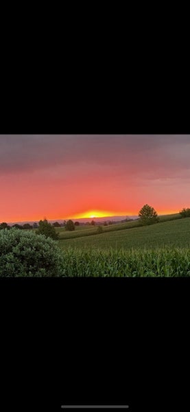 207 Sircombe Road, Otewa, Otorohanga - Carousel 47