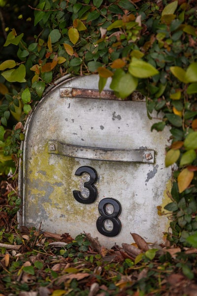 38 Towers Street, Paeroa, Paeroa - Carousel 29