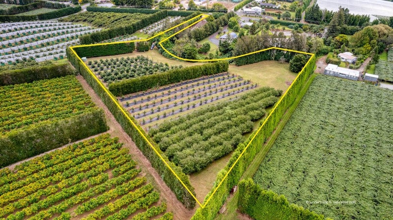 569 Kerikeri Road, KERIKERI, Kerikeri - Carousel 2