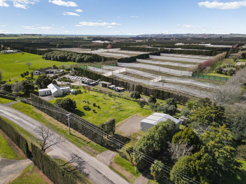 108 Te Tumu Road, Paengaroa, Te Puke - Carousel 2