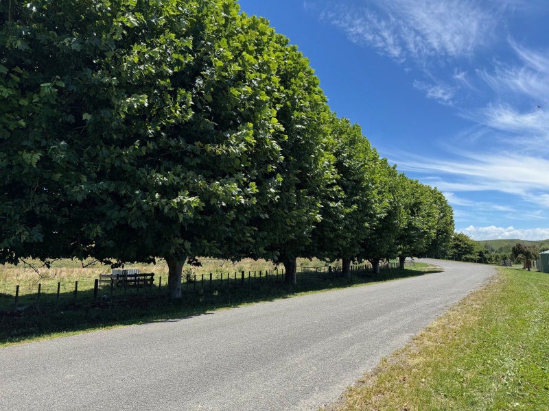 165 Breckenridge Road, Puketapu, Napier - Carousel 1