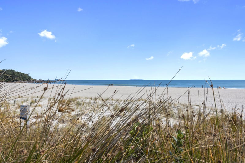 1/38 Miro Street, Mount Maunganui, Mount Maunganui - Carousel 24