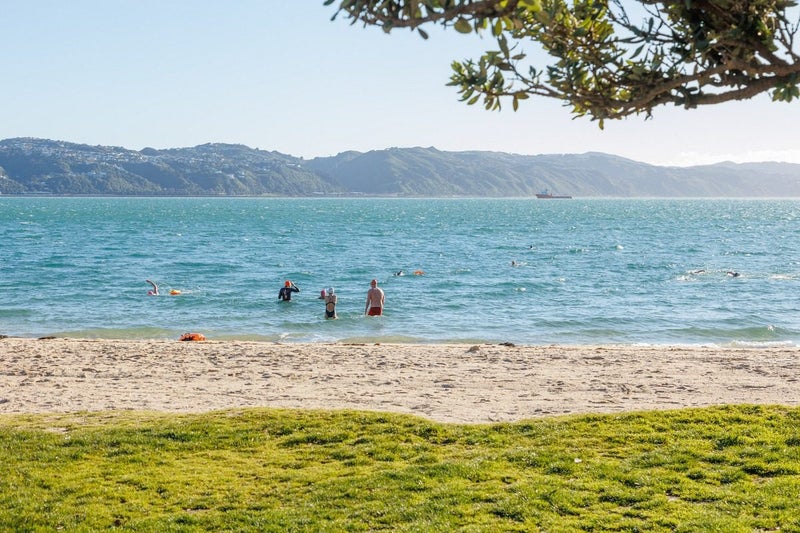 7/48 Oriental Parade, Oriental Bay, Wellington - Carousel 10