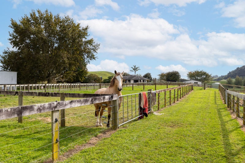 508E Henry Watson Road, Matamata, Matamata-Piako, Waikato - Carousel 27