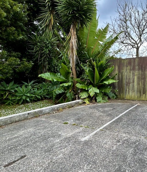 2/16 Lancing Road, Sandringham, Auckland - Carousel 16