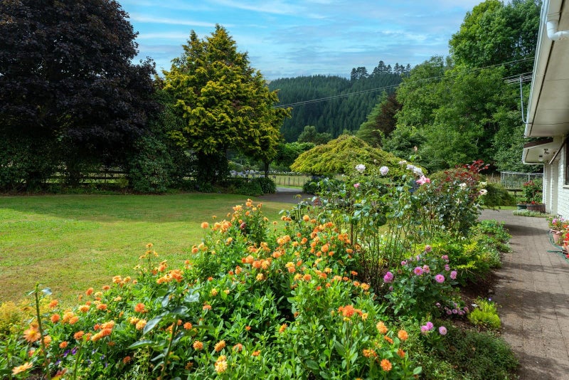 1163 Paradise Valley Road, Ngongotaha Valley, Rotorua - Carousel 1