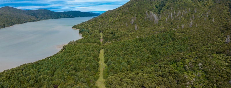0 Kenepuru Head, Kenepuru Head, MARLBOROUGH SOUNDS - Carousel 2