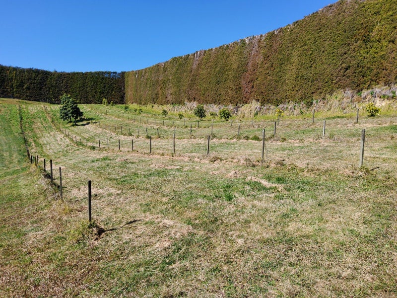 328 Maungarangi Road, Paengaroa, Te Puke - Carousel 18