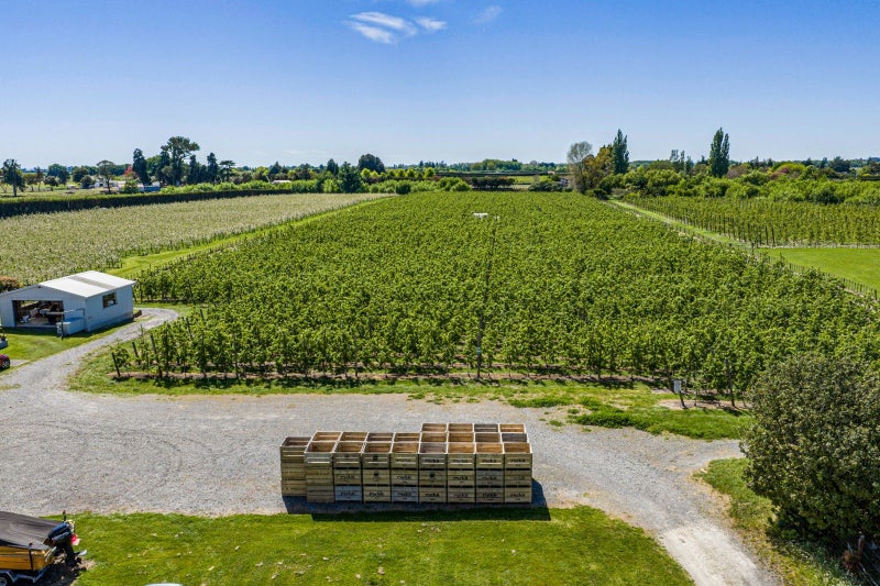 25 Watson Road, Karamu, Hastings, Hawke's Bay - Carousel 2