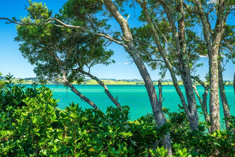 639 Whangarei Heads Road, Tamaterau, Whangārei - Carousel 35