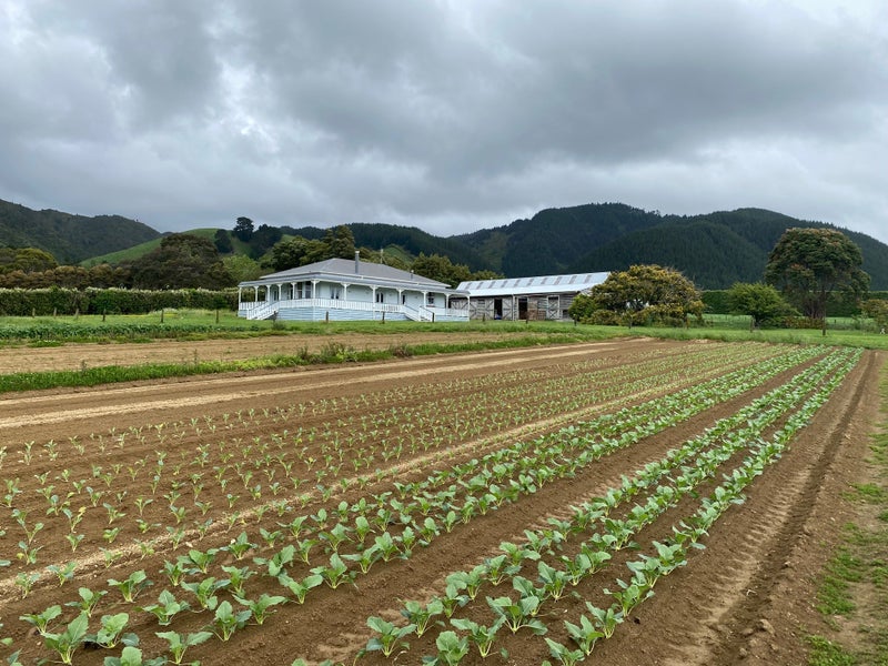 164 Settlement Road, Te Horo - Carousel 17