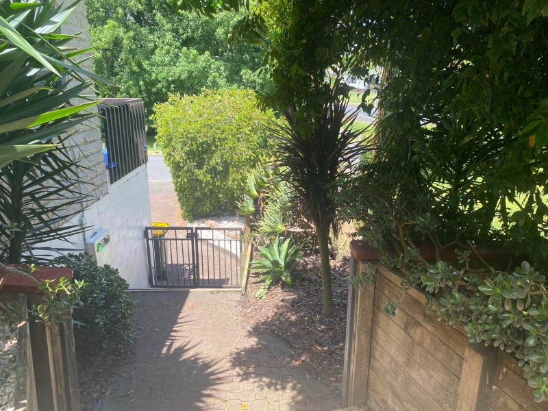 2A Brownlee Place, Pukekohe, Pukekohe - Carousel 16