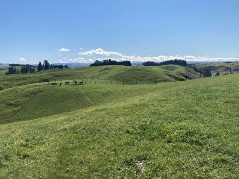 179 Ohiti Road, Crownthorpe, Hastings - Carousel 2