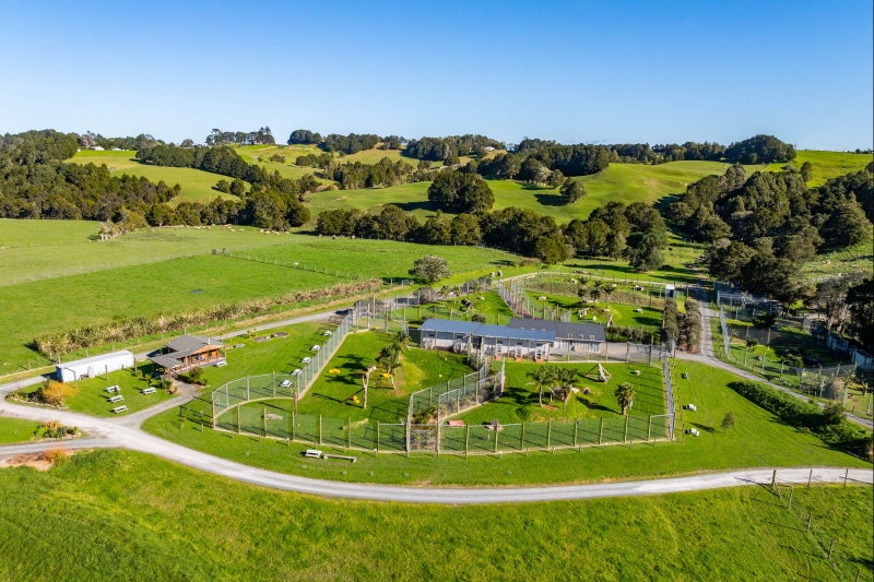 124 Gray Road, Kamo, Whangarei, Northland - Carousel 2