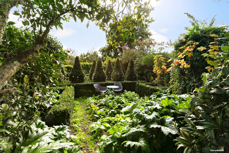 1 Renton Road, Mount Albert, Auckland - Carousel 2