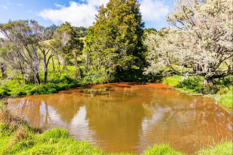 228 Harris Road, Whangarei - Carousel 26