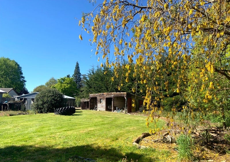 19 Maddren Street, Winchester, Timaru, Canterbury - Carousel 2