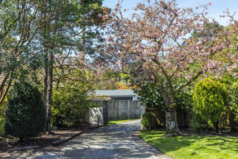 11B Ashgrove Terrace, Somerfield, Christchurch - Carousel 17