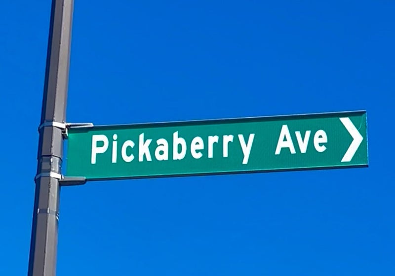 69 Pickaberry Avenue, Karaka, Papakura - Carousel 24