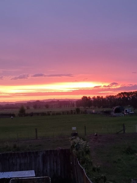 10 O'Brien Road, Rotokauri, Hamilton - Carousel 26