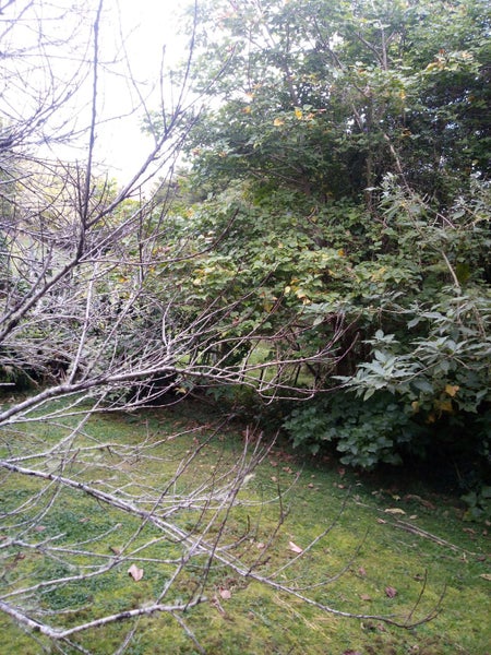 1047 Paihia Road, Opua, Opua - Carousel 30