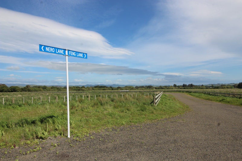 20 Feng Lane, Woodville, Woodville - Carousel 9