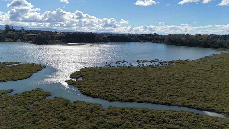 139E SNODGRASS ROAD, Western Bay Of Plenty - Carousel 13