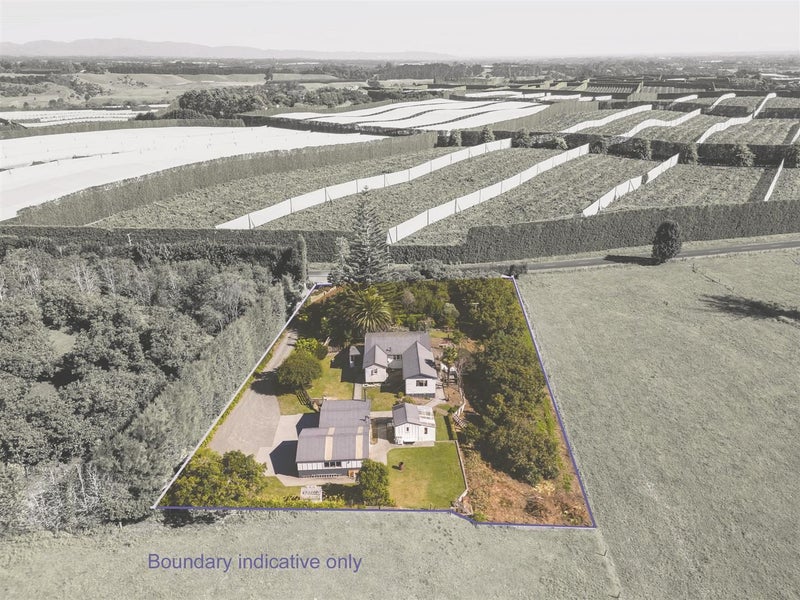 107 Roydon Downs Road, Paengaroa, Te Puke - Carousel 2