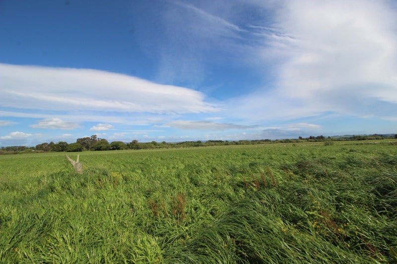 20 Feng Lane, Woodville, Woodville - Carousel 2