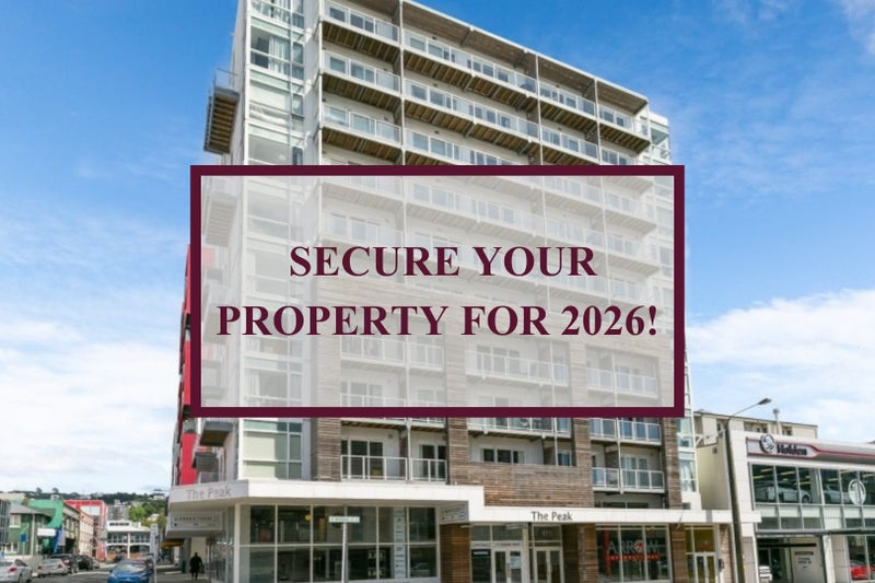 1101/170 Taranaki Street, Te Aro, Wellington - Carousel 1