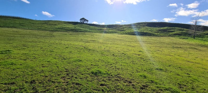 8G Hinckley Road, Whakamarama, Whakamārama - Carousel 2