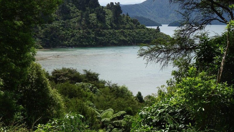 32 Mccormicks Road, Whatamango Bay, Picton - Carousel 1