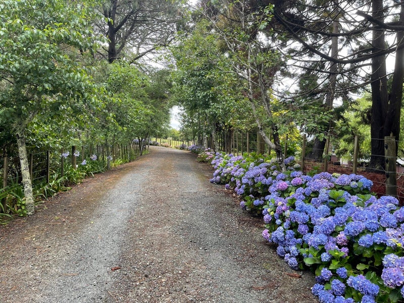 156 Elmore Road, LUCAS HEIGHTS, ALBANY - Carousel 2